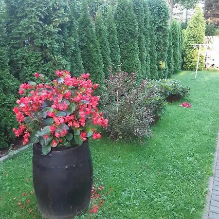 Pod Giewontem Apartment Zakopane